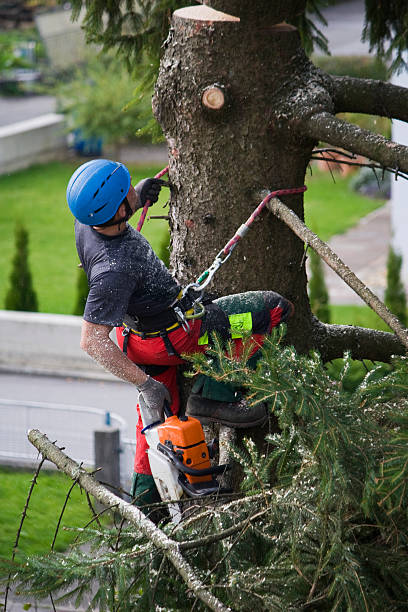 Lawn Drainage Solutions in Fishersville, VA